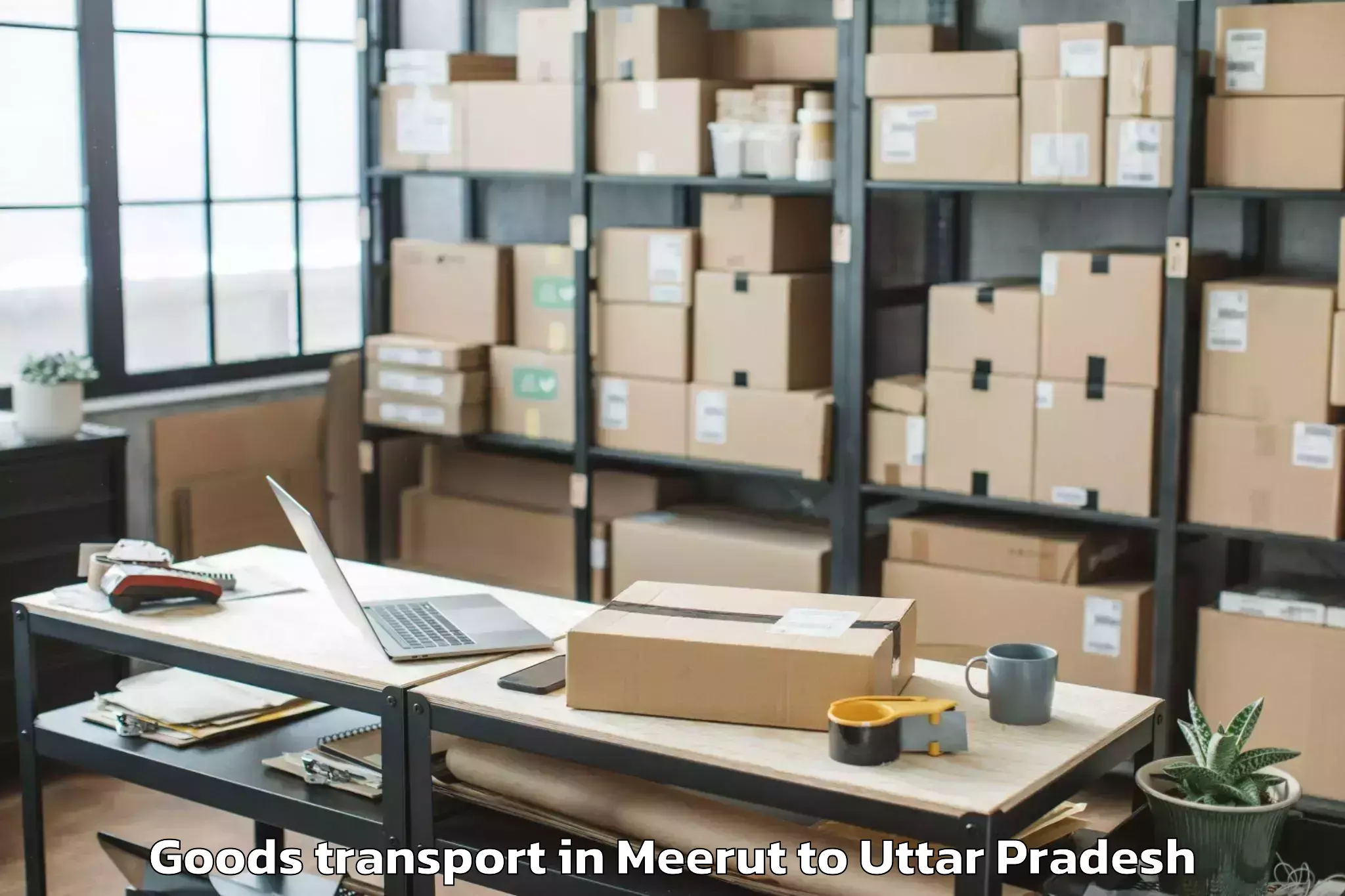 Easy Meerut to Gaur City Mall Greater Noida Goods Transport Booking